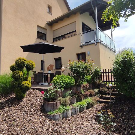 Zum Buchenblick Apartamento Sankt Wendel Exterior foto
